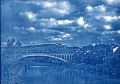 cyanotype31.jpg