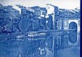 cyanotype41.jpg