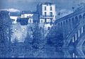 cyanotype51.jpg