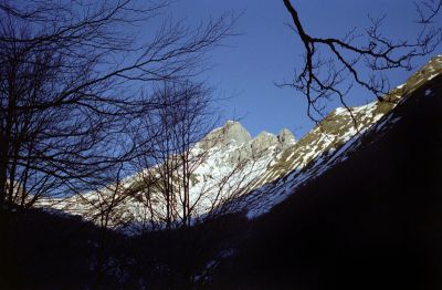 P379i04.jpg