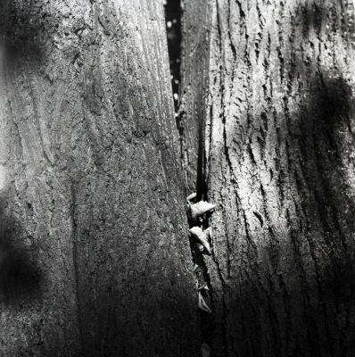 P410i11.jpg