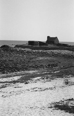P431i28.jpg