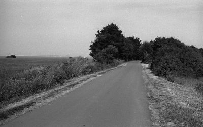P434i29.jpg