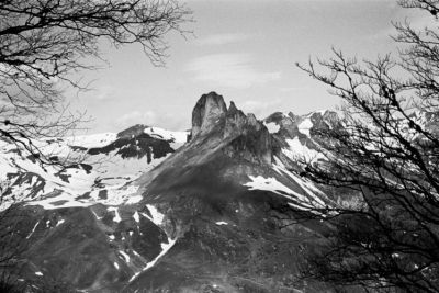 mURI_temp_2574a7f1.jpg