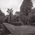 P097i01.jpg