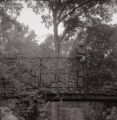 P097i03.jpg