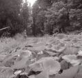 P097i10.jpg