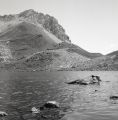 Test_rolleiflex~0.jpg