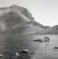Test_rolleiflex~1.jpg