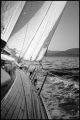 Newlargue_1992.jpg
