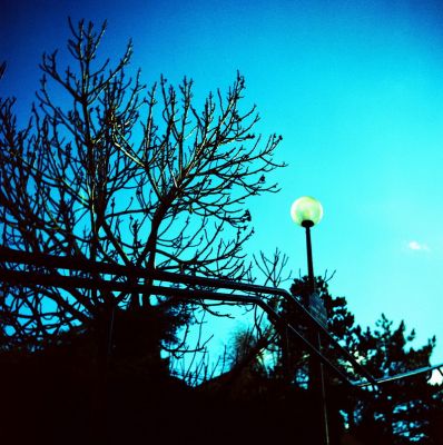 Lubitel
Ektachrome traitement croisé
Mots-clés: Lubitel Ektachrome traitement croisé
