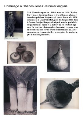 Composition-1.jpg