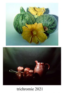 Composition-10.jpg