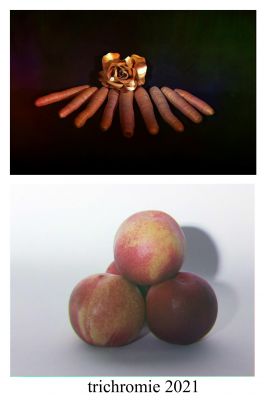 Composition-12.jpg