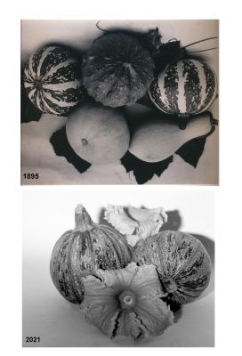 Composition-2.jpg