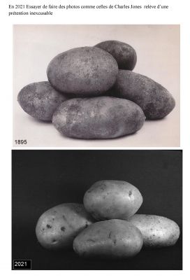 Composition-3.jpg