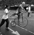 velo3.jpg