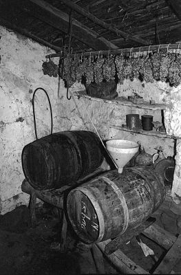 cavealgarveweb.jpg