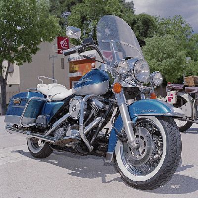 harleychappyepsonweb.gif