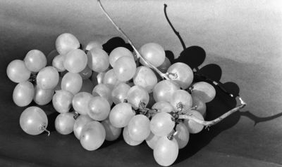 raisins-4x5_modifié-1web.jpg