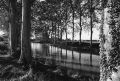 canalcolombiersweb.jpg