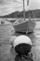 SRT-101-Rollei-100-22.jpg
