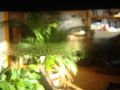 DSC01345.JPG