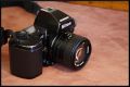 _MG_6894.JPG