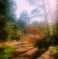 autumn2.jpg