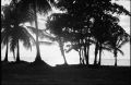 contre-jour2.jpg