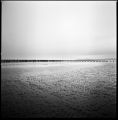 littoral89.jpg
