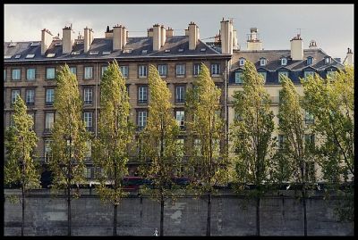 Graphisme des bords de Seine
Nikon F301 - 105/2.5 - Portra 400 NC
