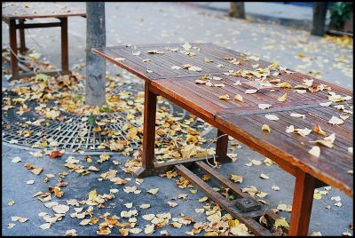 automne1.jpg