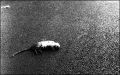 2010_2_14_3033_00007.jpg