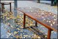 automne1.jpg