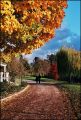 automne3~0.jpg