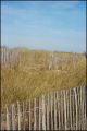 dunes.jpg