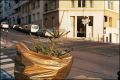 sapin1.jpg
