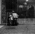 accordeonniste.jpg