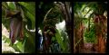 bananes-light.jpg
