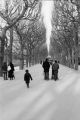 IMG_0001_tif~0.jpg