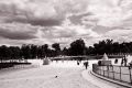 Nom du fichier=Tuileries.jpg
Taille du fichier=138Ko
Dimensions : 800x537
Ajouté le : 26 Août 2008 Tuileries.jpg