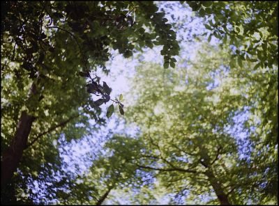 M3vista_0021.jpg