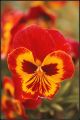 IMG_0015~0.jpg