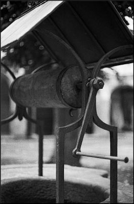 nega0021_021.jpg