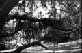 nega0021_011.jpg