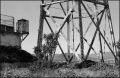 nega0031_006.jpg