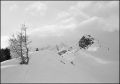 nega0046_026.jpg