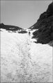 nega0052_022.jpg