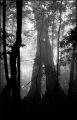 nega0063_028.jpg